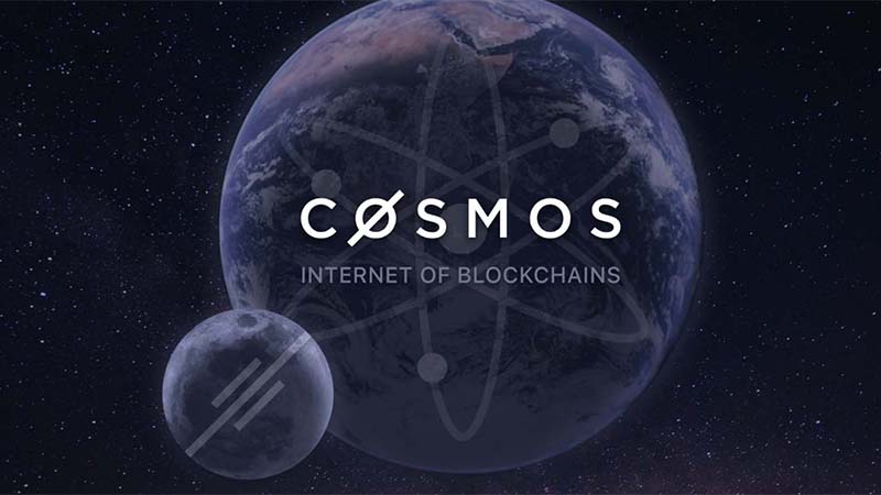 Cosmos