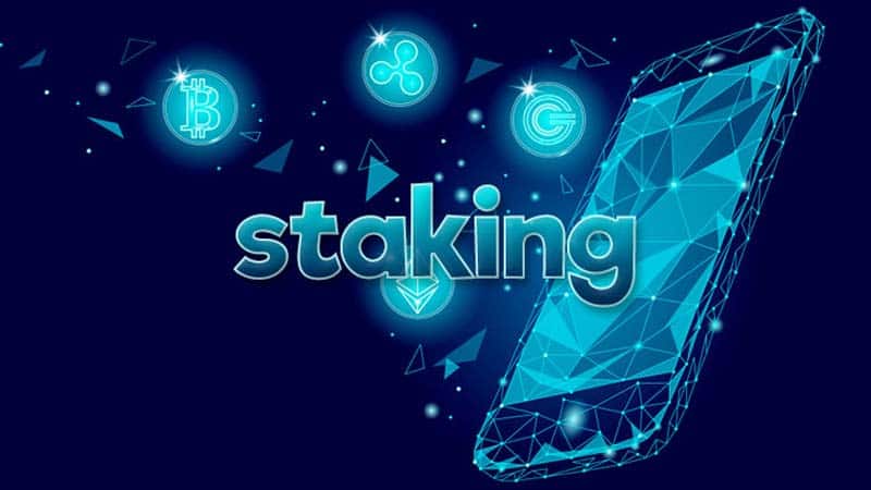 Staking là gì? Hướng dẫn Staking từ A-Z cho người mới bắt đầu 2024