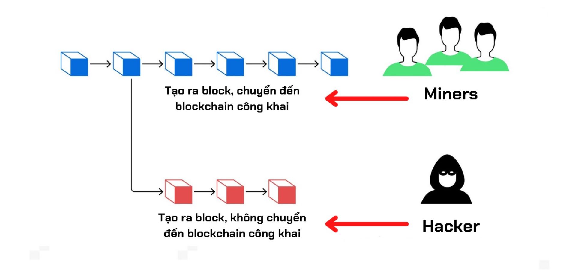 51% attack diễn ra như thế nào