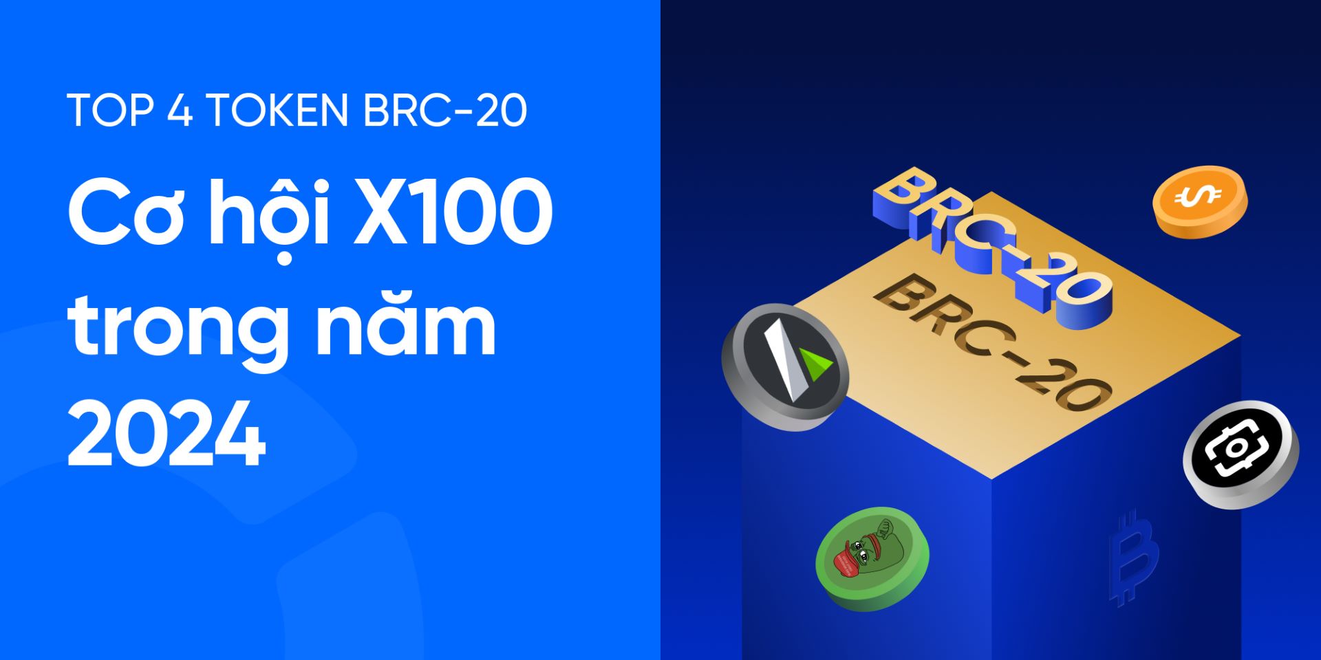 BRC-20 là gì? TOP 4 token BRC-20 tiềm năng mạnh nhất 2024