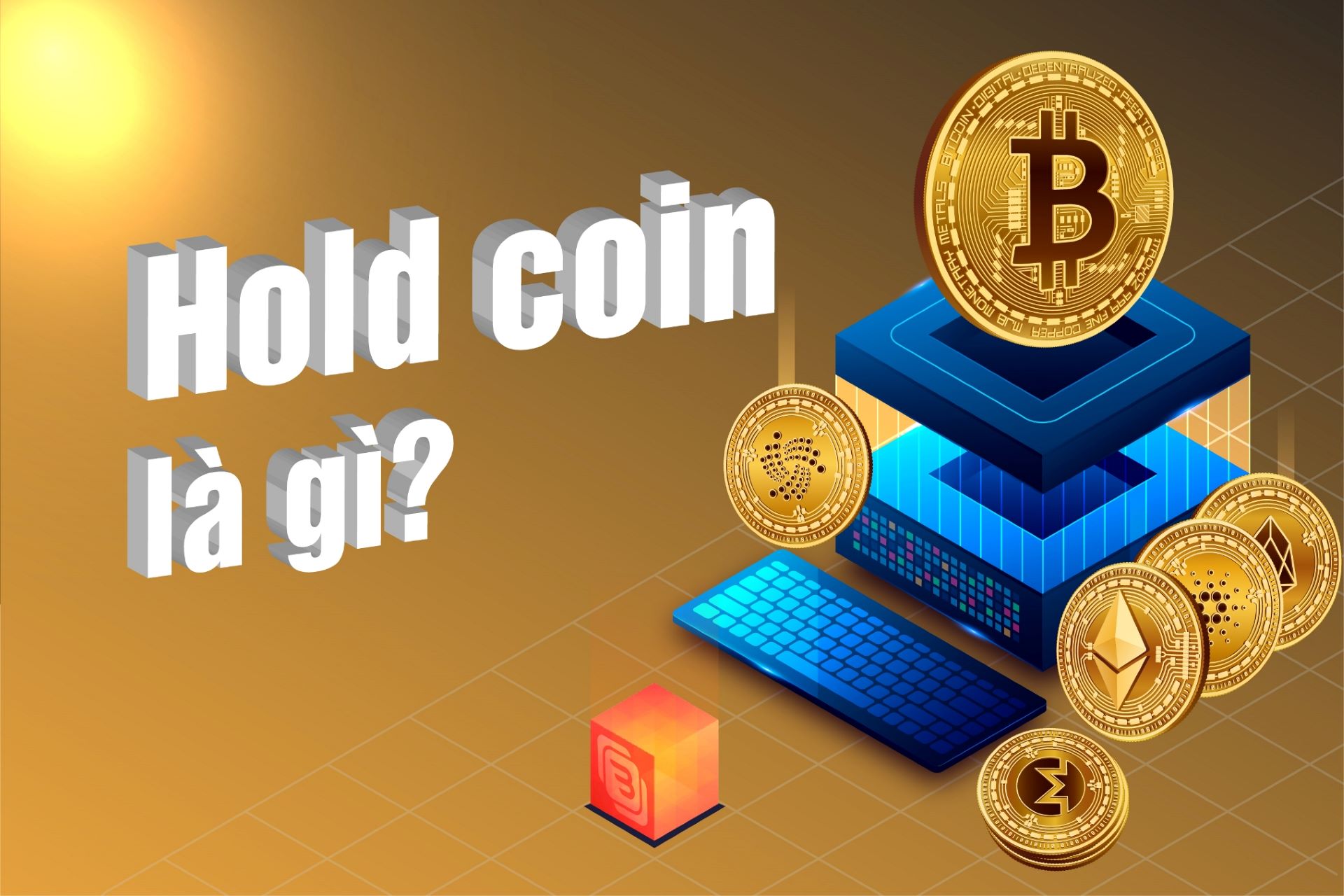 Hold coin là gì? Làm thế nào để tối ưu hoá lợi nhuận khi hold coin?