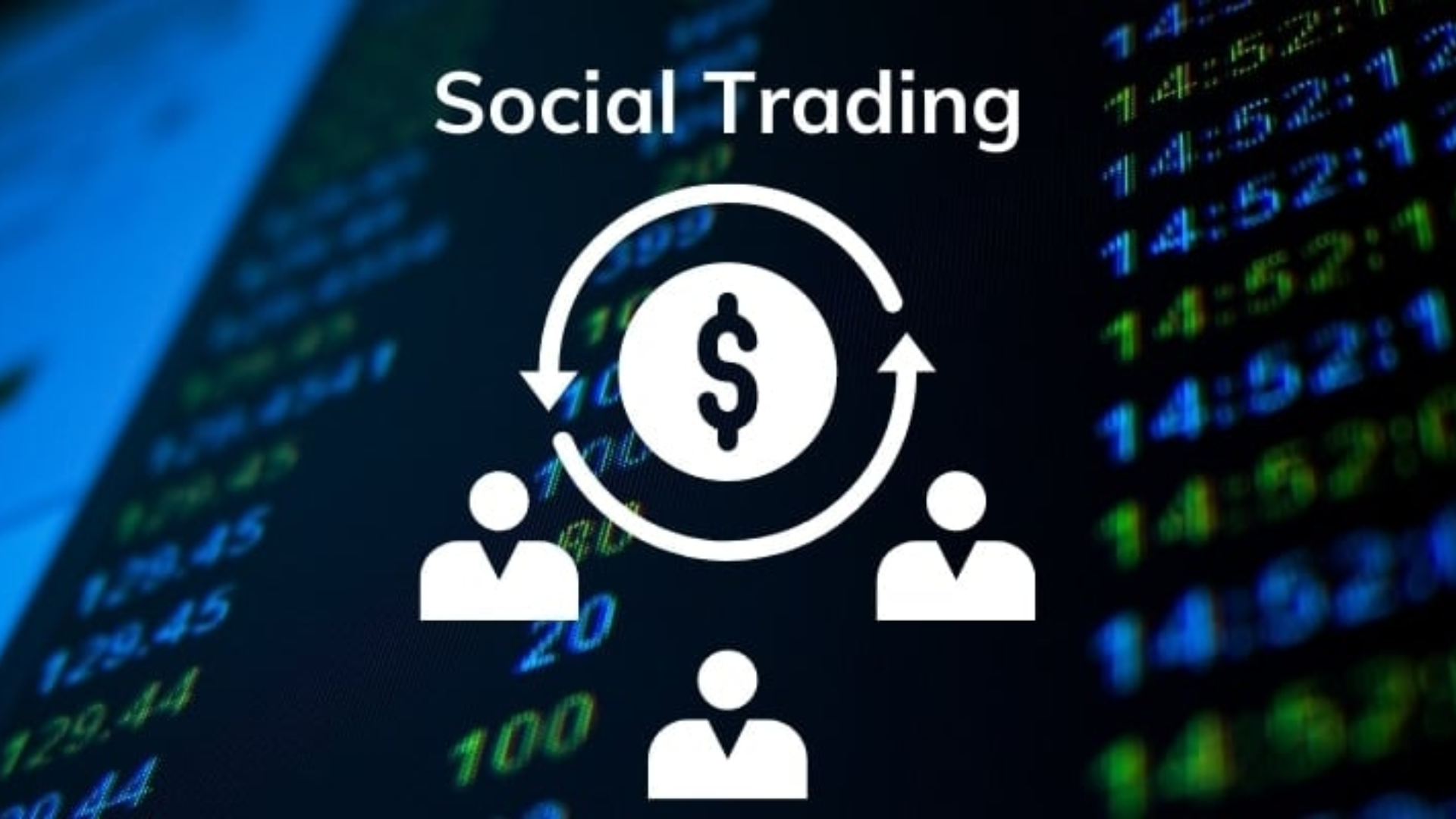 Social Trading Là Gì