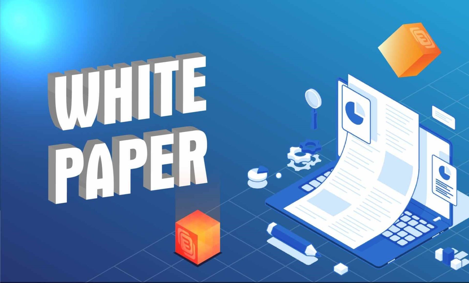 White paper là gì? Cách đọc sách trắng để tìm dự án đầu tư tiềm năng