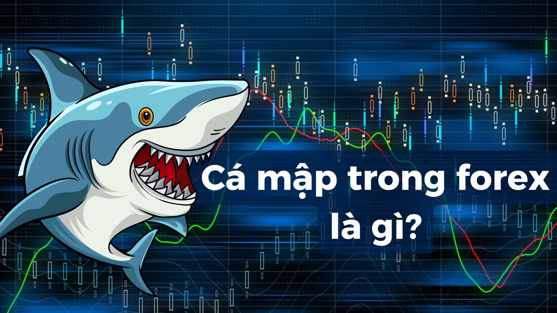 Cá mập trong Forex là gì? Chiến lược giao dịch thường xuyên của họ