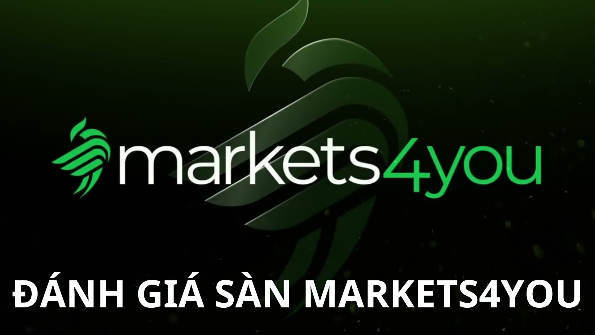 Sàn Markets4you là gì? Đánh giá sàn Markets4you mới nhất 2024