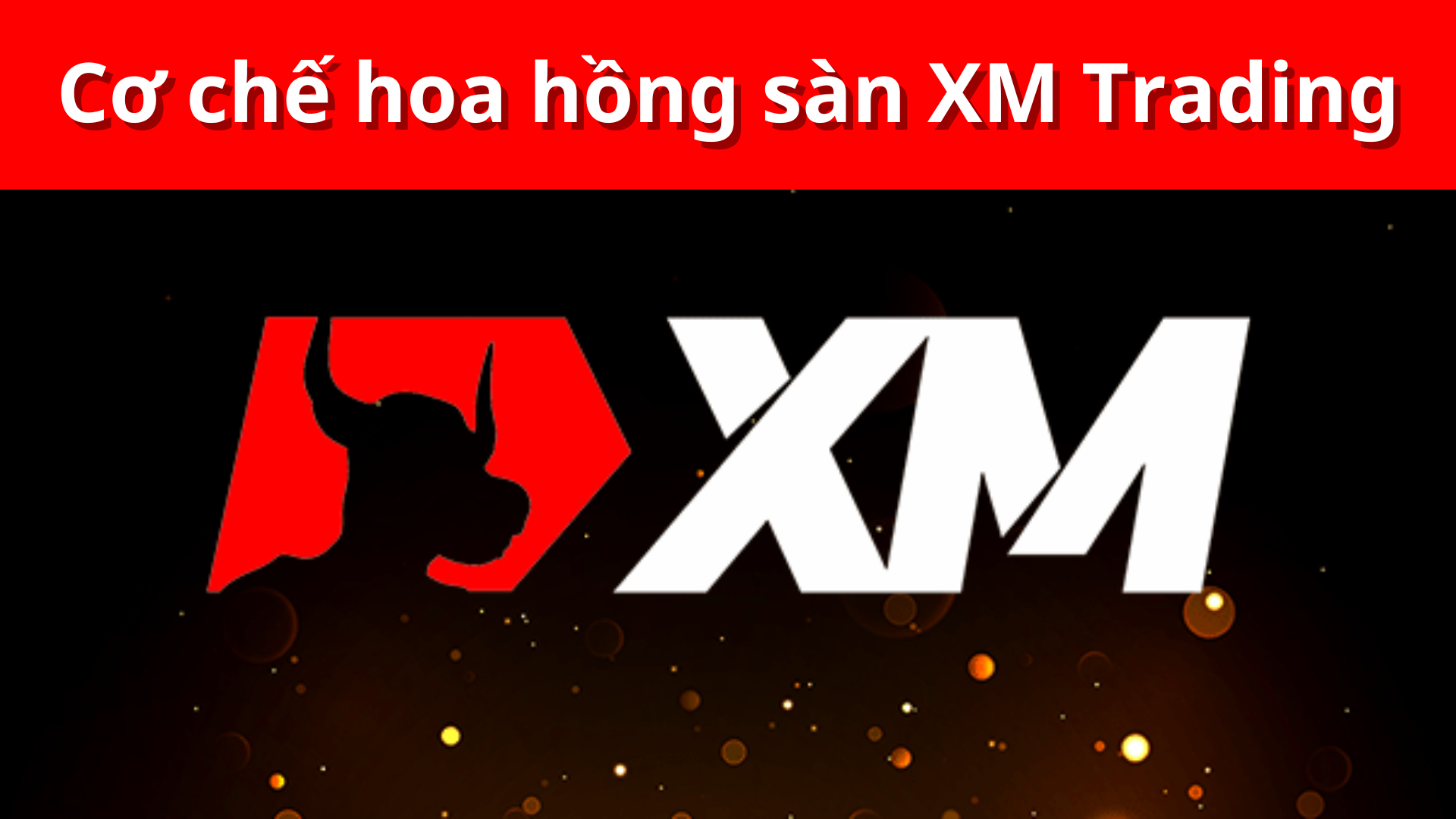 Cơ Chế Hoa Hồng Sàn Xm